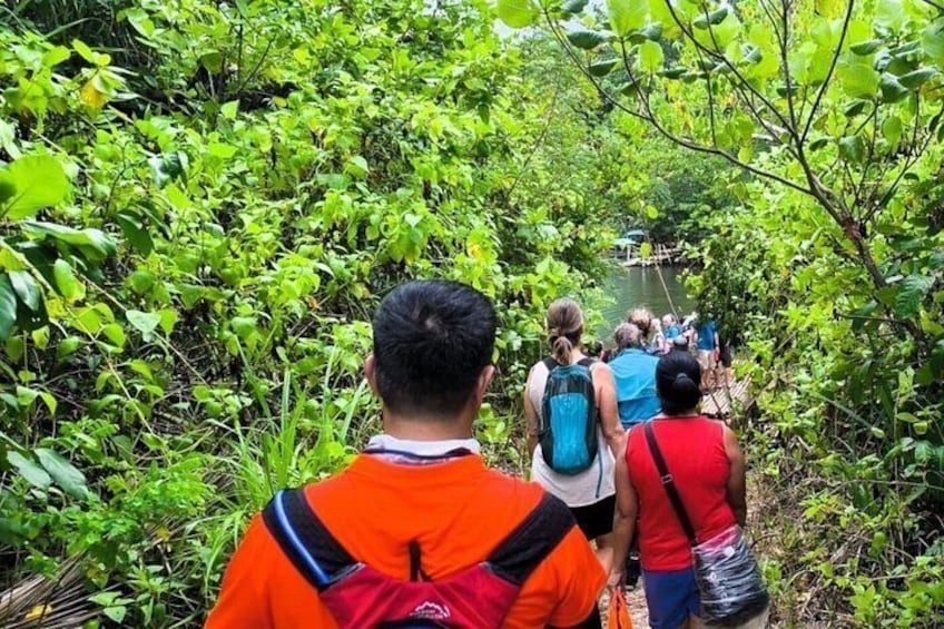 Un grupo de personas caminando por un bosque denso y verde. 1