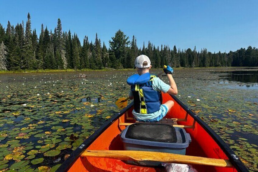 1 Day Canoeing Tour in Algonquin Park 3