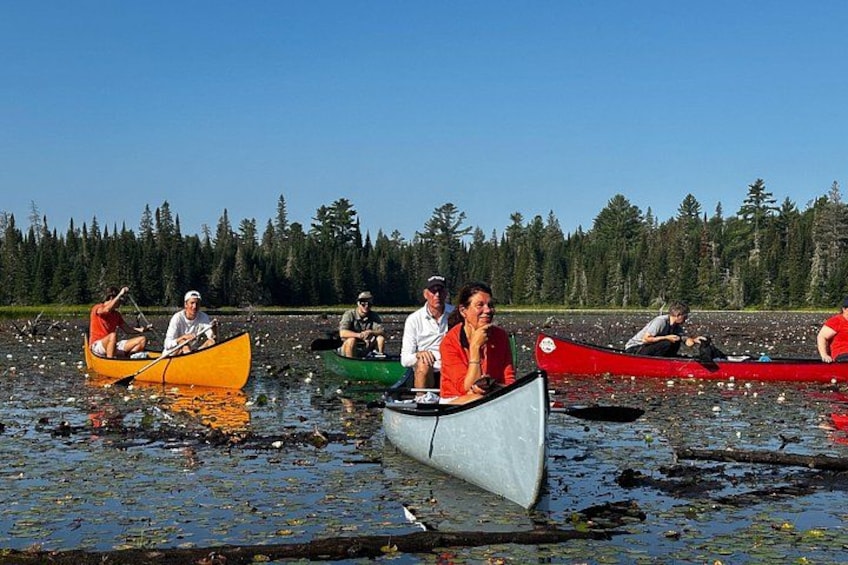 Personas en canoas sobre un lago rodeado de árboles. 5