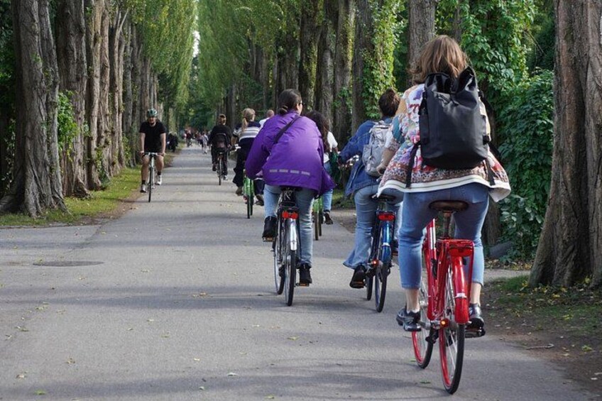 A tree-lined path with cyclists. 2