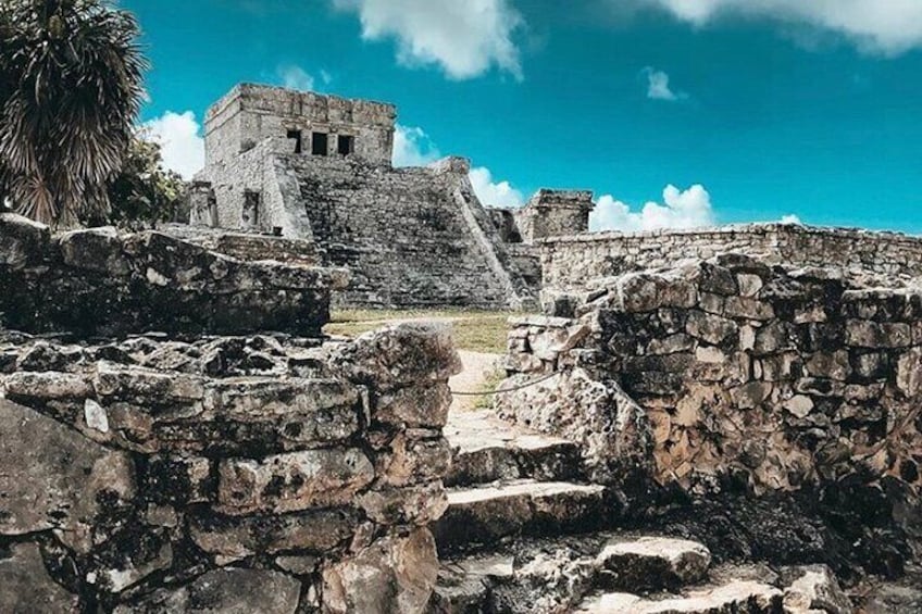 Ancient stone ruins with a pyramid-like structure and a large tree. 1