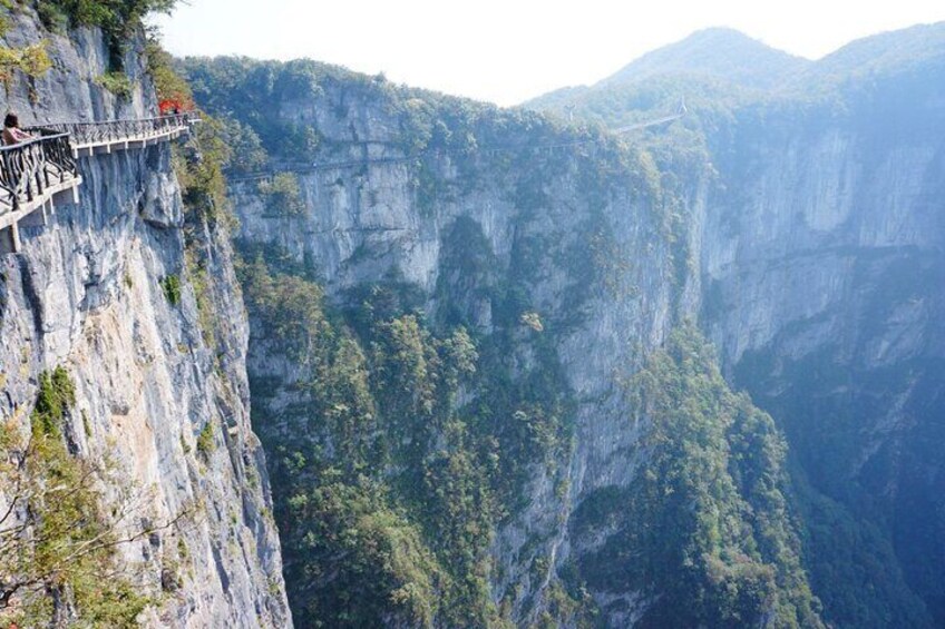 A narrow bridge over a steep cliff with dense forest below. 2