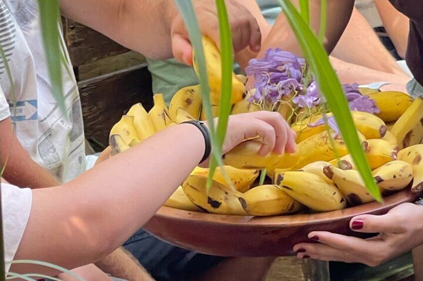 Eco Friendly Banana Cultivation Tour in La Palma 4