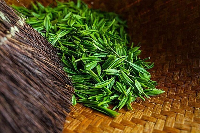 Authentic Hangzhou Longjing Tea Culture Experience Tour 4