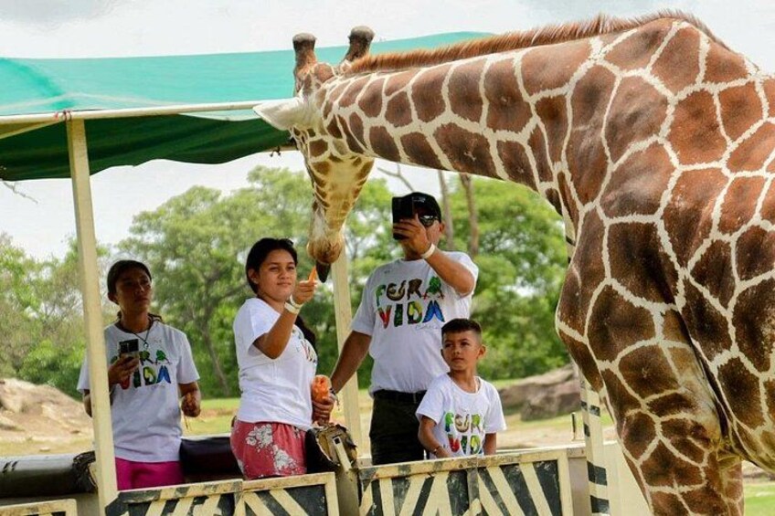 Safari Tour in Ponderosa Costa Rica 2