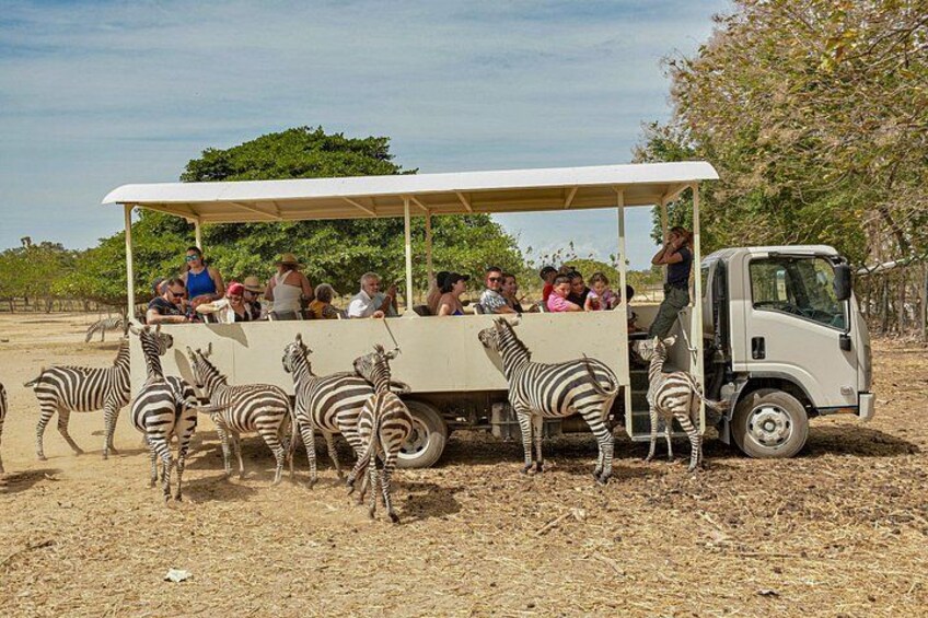 Safari Tour in Ponderosa Costa Rica 5