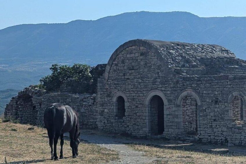 Un edificio in pietra con archi, un cavallo che pascola nelle vicinanze e un paesaggio montuoso sullo sfondo. 3