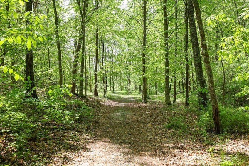 Meadowlands Trails 5