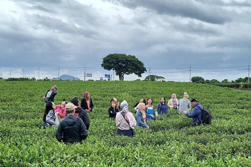 Jeju Private Tour for Overcoming Hardships Course in jeju island 2