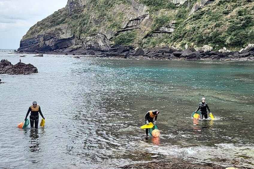 Private Tour Waterfall & Cliff & Traditional Market in jeju 3