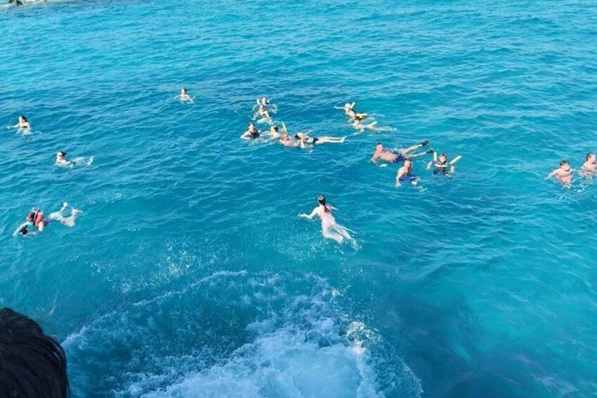 People swimming in a clear blue body of water. 3