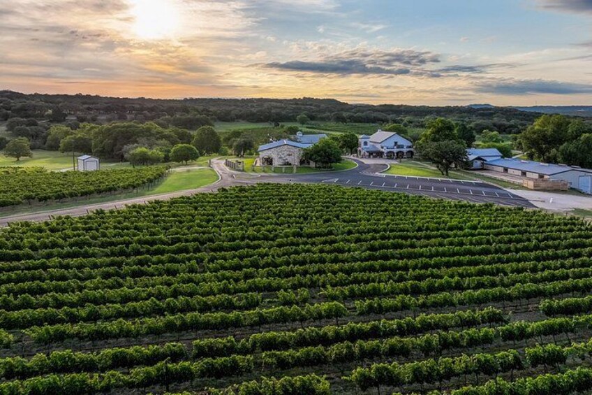 A vineyard with rows of grapevines, a farmhouse, and a road. 2