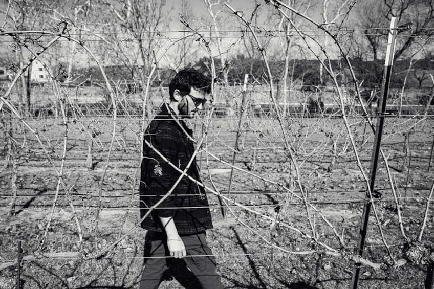 A person standing in a vineyard with bare trees and a fence. 4