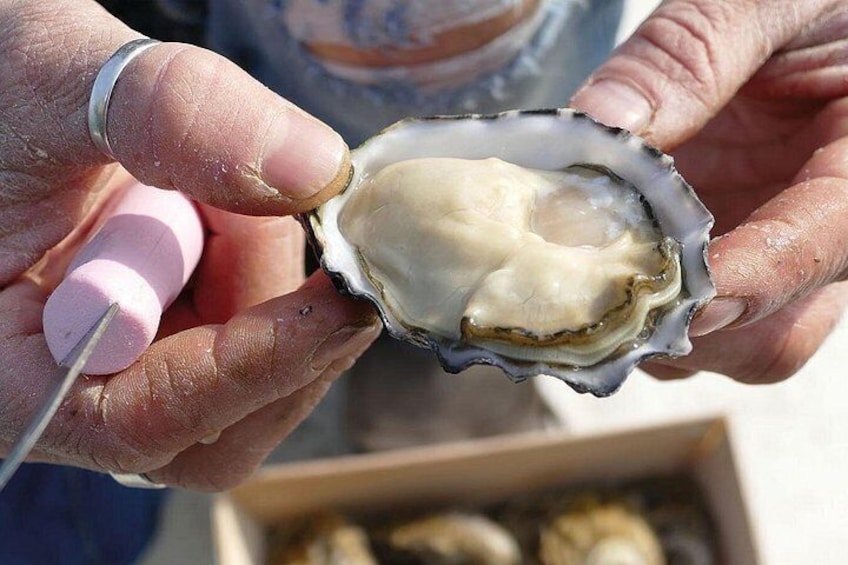 Exclusive tasting of oysters and seafood from the Riviera 2