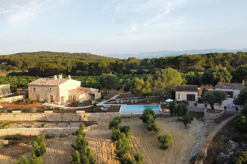 Finca 3