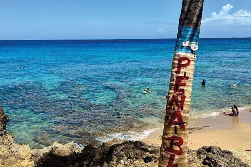 Puerto Rico: Cueva del Indio, Waterfalls & Beach Tour 4