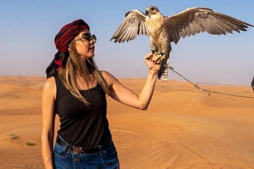A person holding a bird of prey in a desert landscape. 5