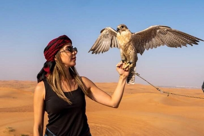 Una persona che tiene un rapace in un paesaggio desertico. 1