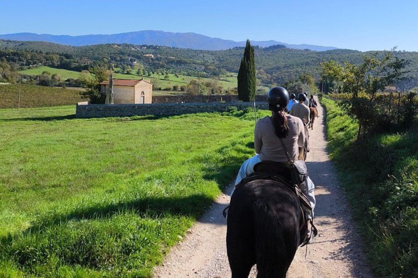 Horseback Riding in the Vineyards 2