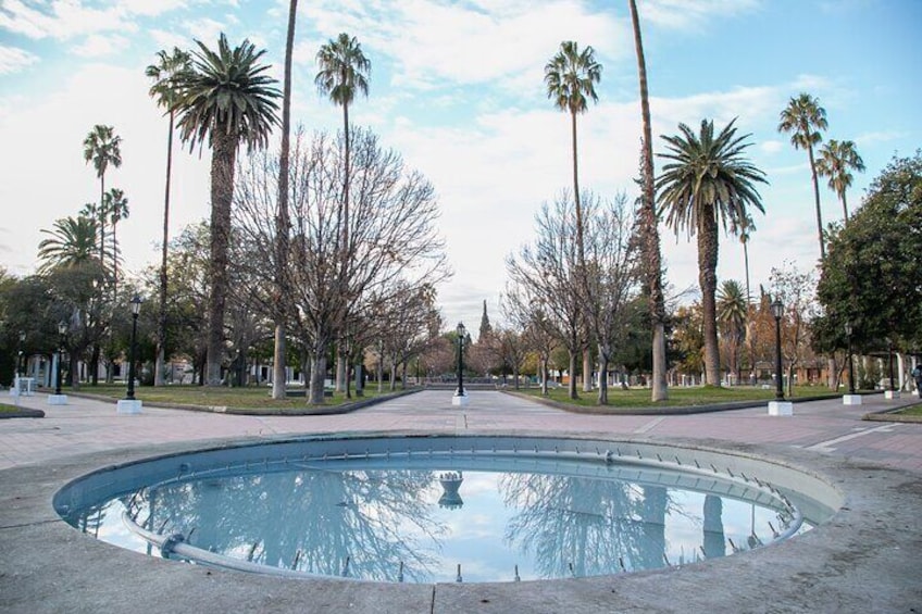 A circular pool with palm trees and a clear sky. 1
