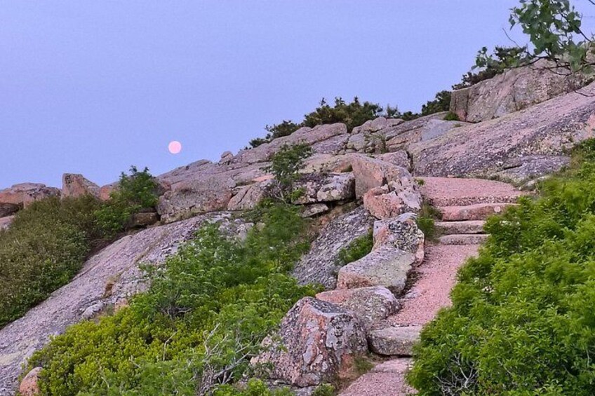 Morning moon over pink Cadillac Mountain granite 4