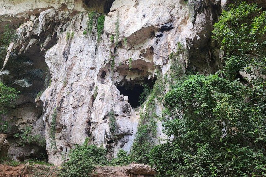 A cave entrance surrounded by greenery. 4