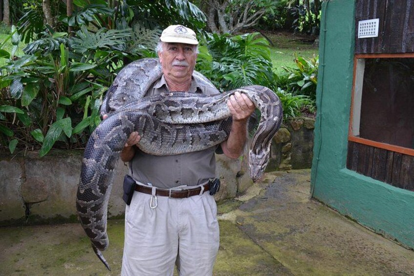 A person holding a large snake in an outdoor setting with greenery and a building in the background. 2