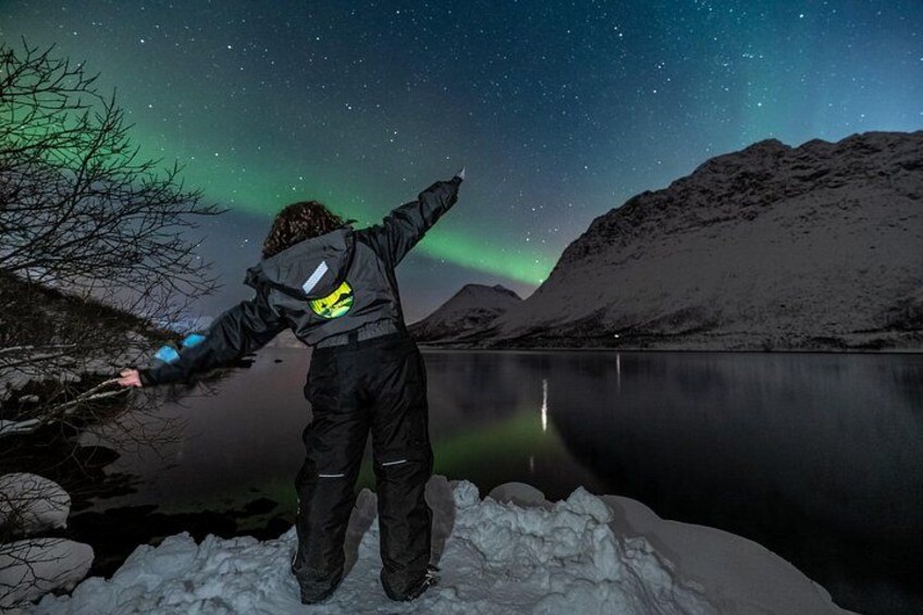 Eine Person steht an einem schneebedeckten Ufer und blickt in den Nachthimmel mit dem Polarlicht. 3