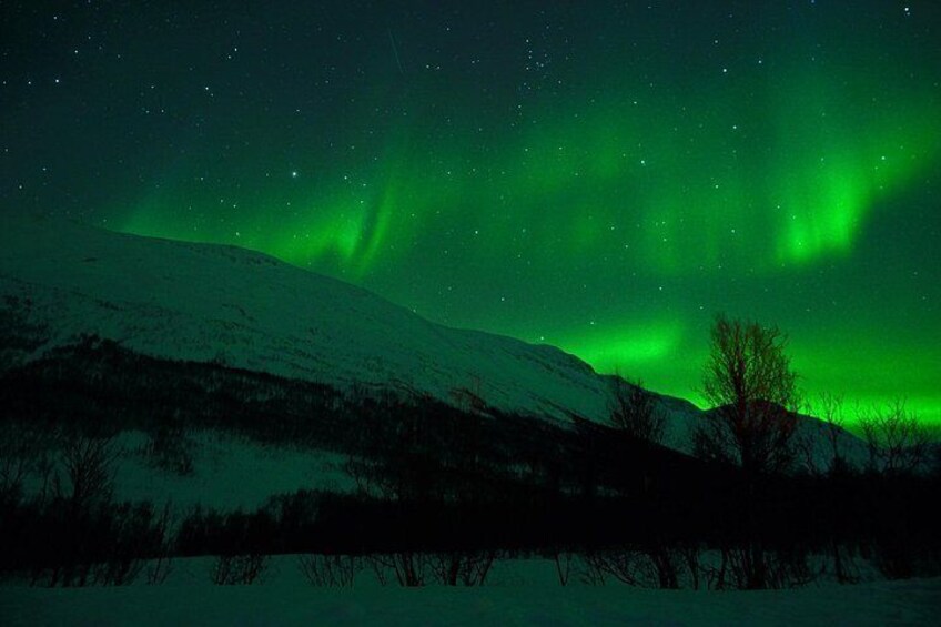 A snowy landscape with a night sky and green aurora borealis. 5