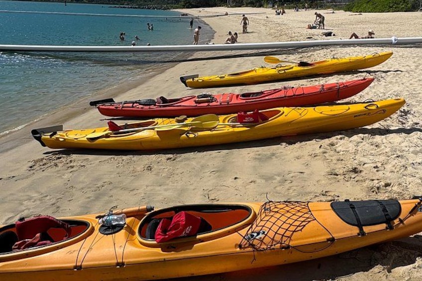 Une plage où l’on voit des kayaks alignés sur le sable et des gens dans l’eau. 3