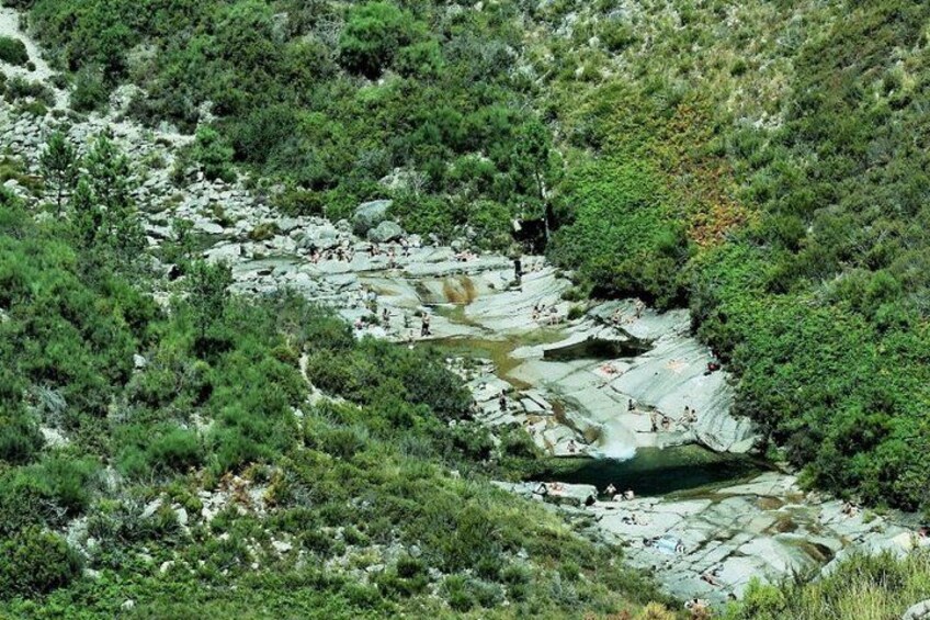 A rocky terrain with a water stream surrounded by dense greenery. 1
