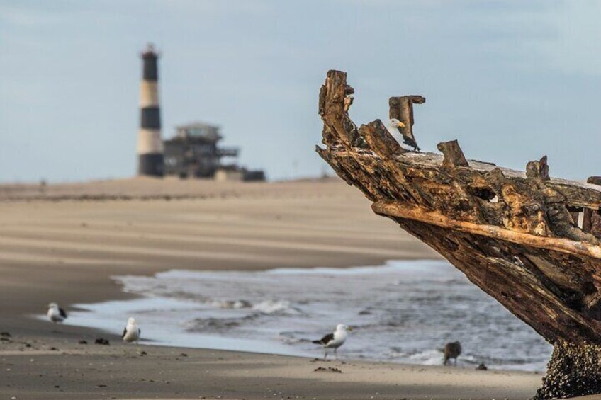 Una estructura de madera desgastada en una playa con olas, un faro al fondo y gaviotas en la arena. 1