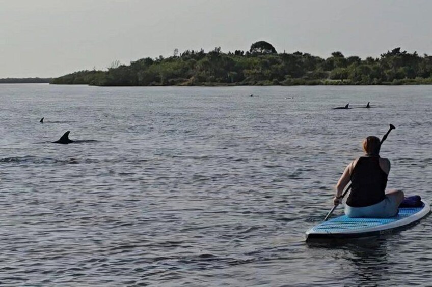 Una persona pagaia in kayak su acque calme, con un'isola boscosa sullo sfondo. 3