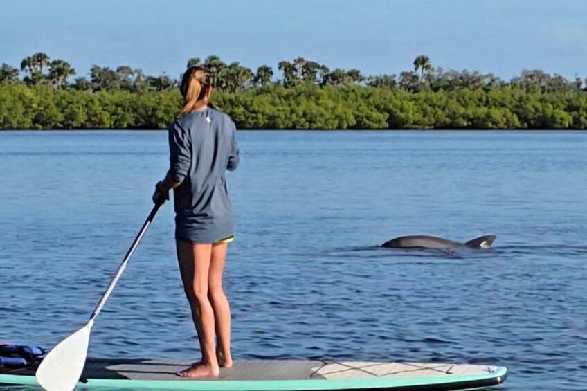 Paddle With Native Wildlife 1