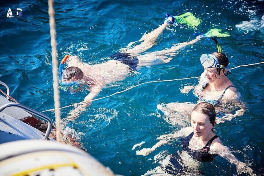 People swimming in a pool with diving equipment. 5