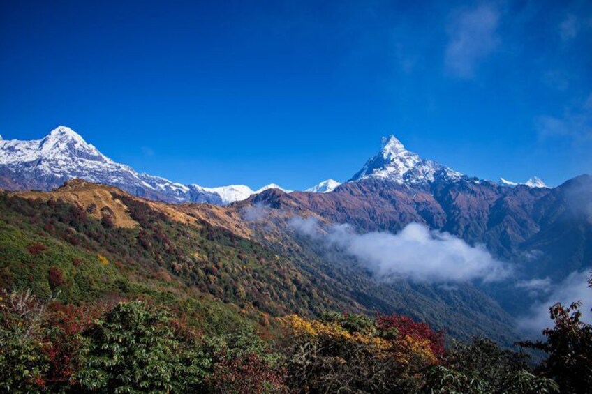 A mountain range with snow-capped peaks, autumn-colored foliage, and a valley with mist. 3