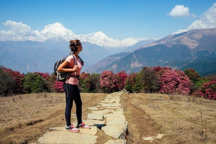 A person standing on a stone path with a mountainous landscape in the background. 2
