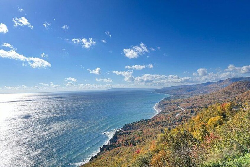 A coastal landscape with a clear sky, a coastline, and autumn-colored trees. 2
