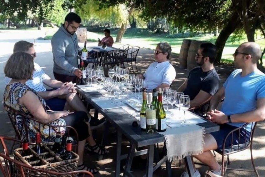 Private Tour 3 Days: Santiago, Valparaiso and Cajon del Maipo 5