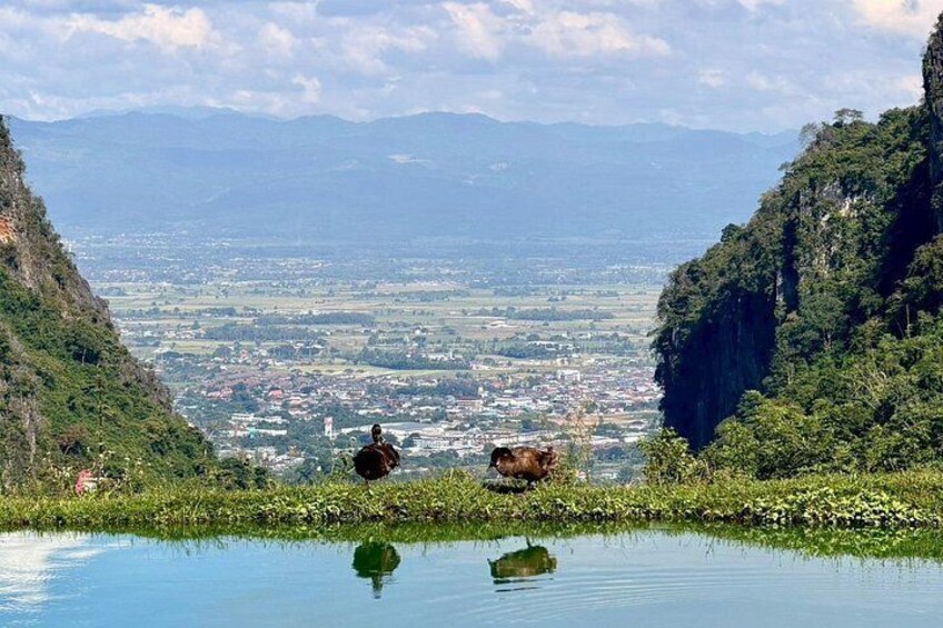 Un valle con un río, dos vacas y una ciudad a lo lejos. 5
