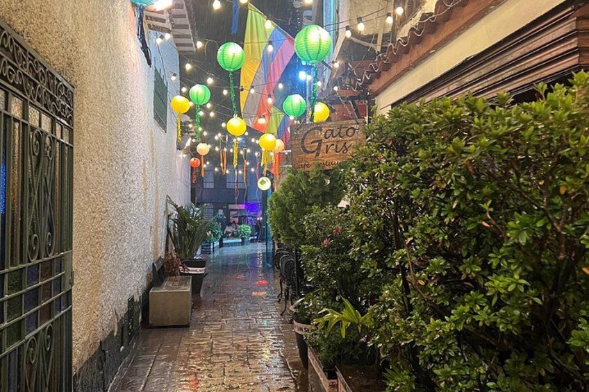 A narrow alley with a cobblestone path, green foliage on the right, and hanging lanterns. 1