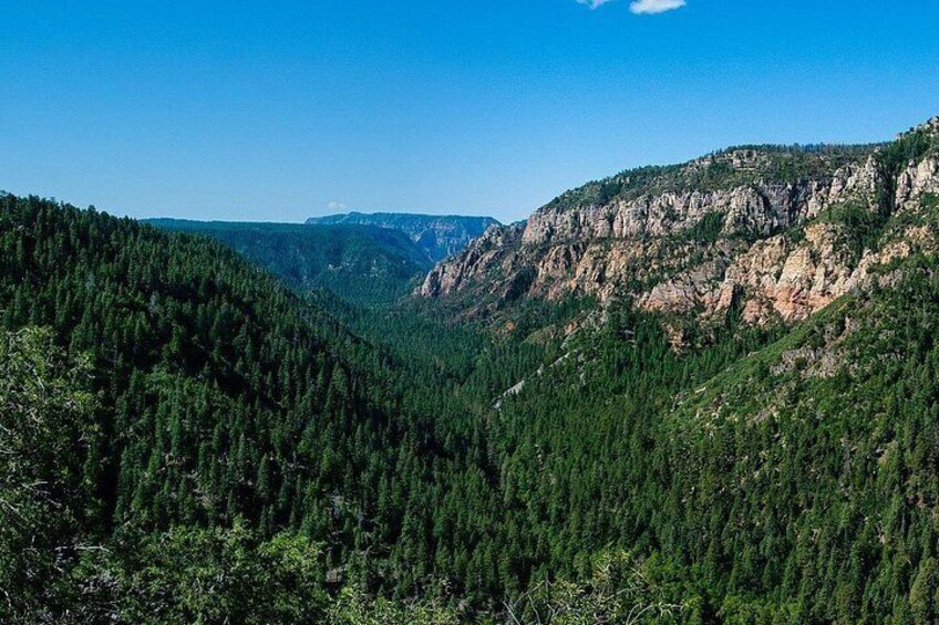 From Phoenix Private Grand Canyon Sedona Oak Creek Canyon Tour 5