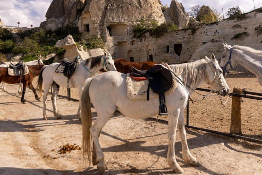 Caballos con sillas de montar en un entorno rocoso al aire libre. 2