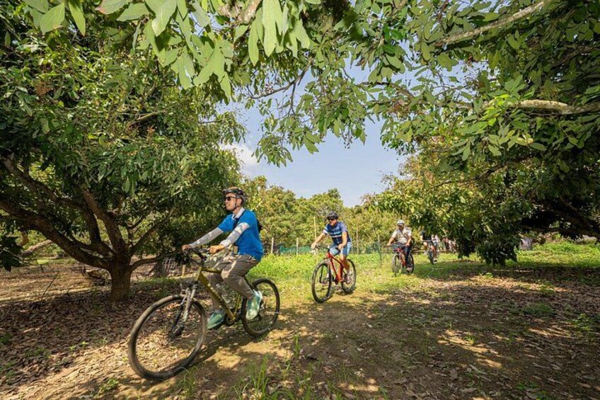 Ciclisti che pedalano su un sentiero sterrato, circondati da alberi, in un paesaggio rurale. 1