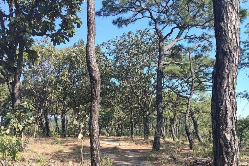 Hiking in Jalisco Guided Experience from Guadalajara 4