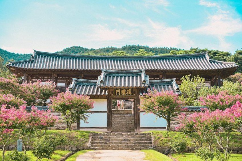 A traditional Korean gate with a tiled roof, surrounded by blooming cherry trees and a mountainous backdrop. 1