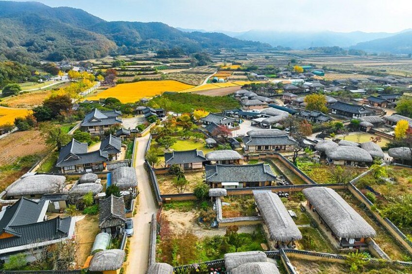 A traditional village with thatched-roof houses, a central pathway, and surrounding fields. 3