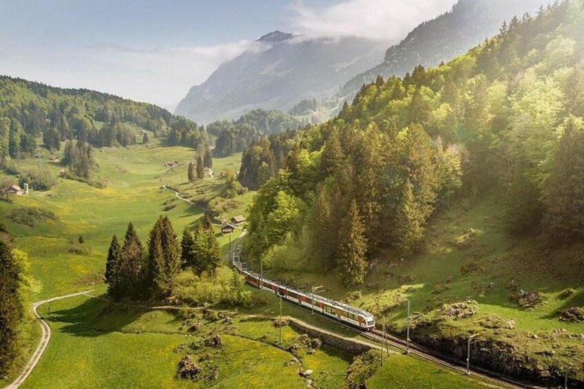 Een trein rijdt door een bergachtig landschap met groene velden en bomen. 3
