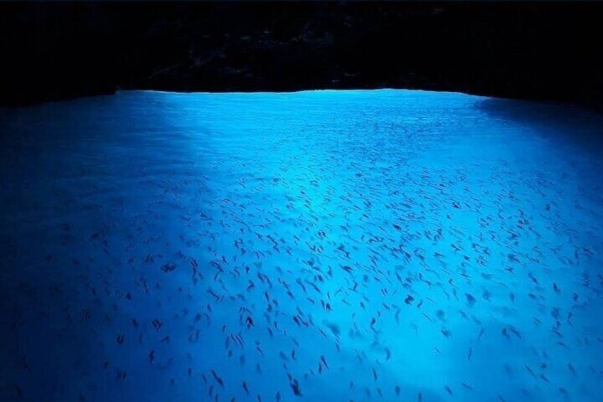 Une piscine à l’eau d’un bleu profond, entourée de murs sombres. 2