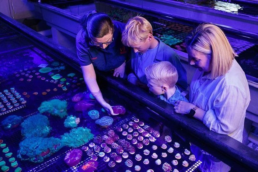 A family examining a display of colorful objects at a museum. 1